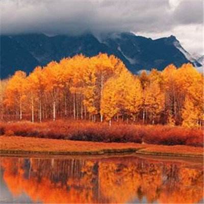 爱游戏app官方网站手机版截图